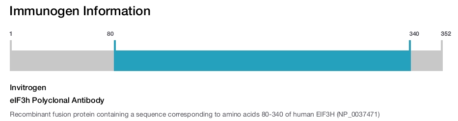eIF3h Polyclonal Antibody