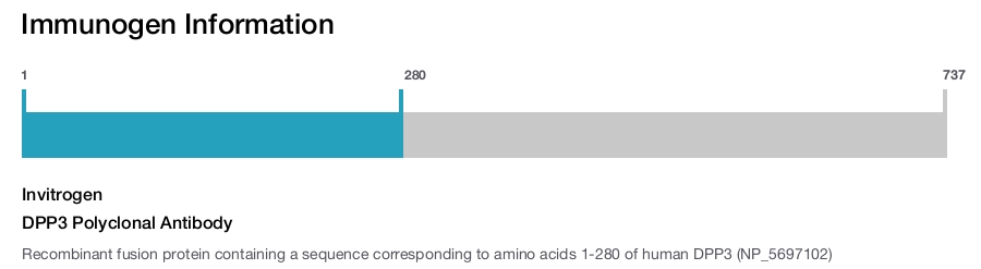 DPP3 Polyclonal Antibody