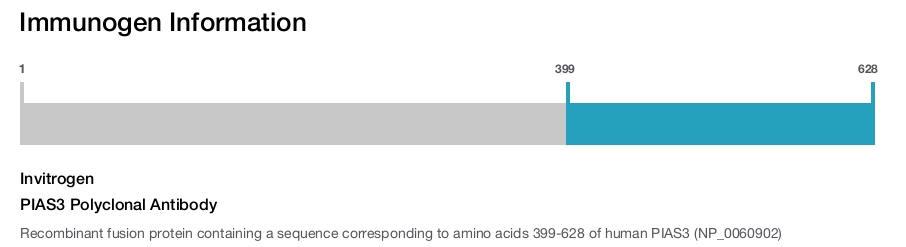 PIAS3 Polyclonal Antibody