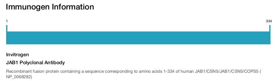 JAB1 Polyclonal Antibody