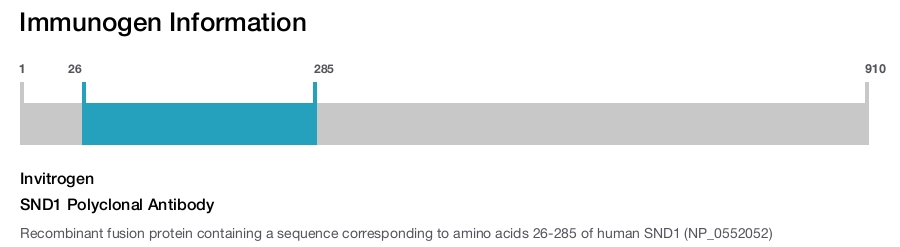 SND1 Polyclonal Antibody