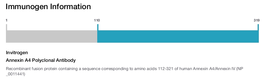 Annexin A4 Polyclonal Antibody