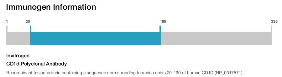 CD1d Polyclonal Antibody