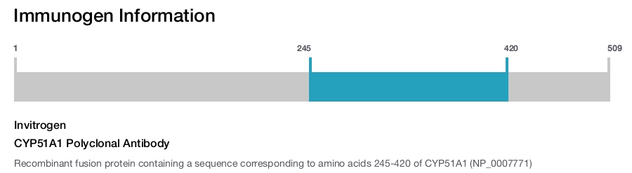 CYP51A1 Polyclonal Antibody