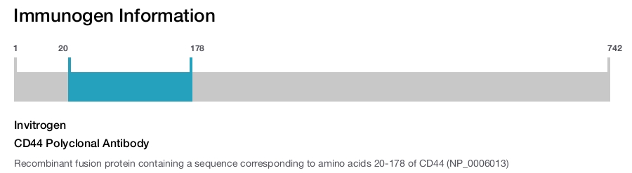 CD44 Polyclonal Antibody