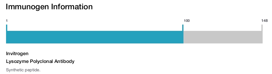Lysozyme Polyclonal Antibody