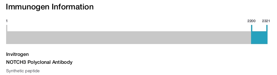 NOTCH3 Polyclonal Antibody