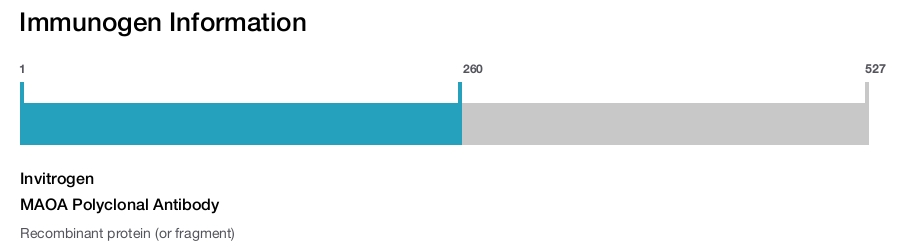 MAOA Polyclonal Antibody