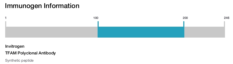 TFAM Polyclonal Antibody