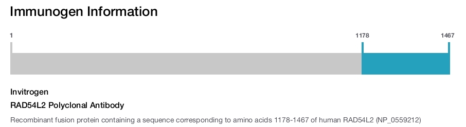RAD54L2 Polyclonal Antibody