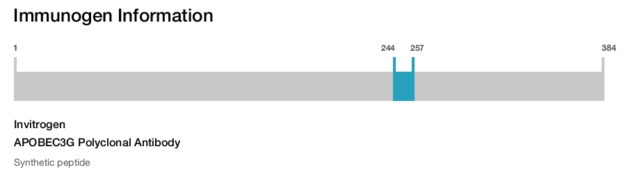 APOBEC3G Polyclonal Antibody