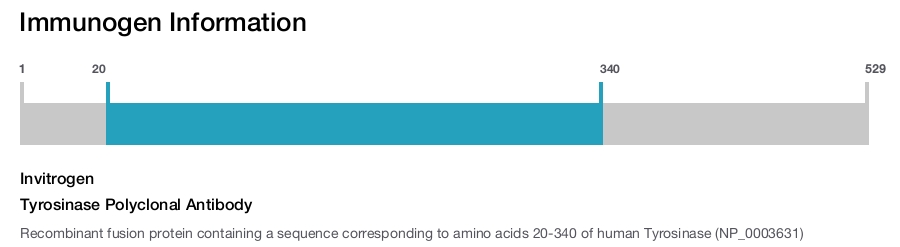 Tyrosinase Polyclonal Antibody