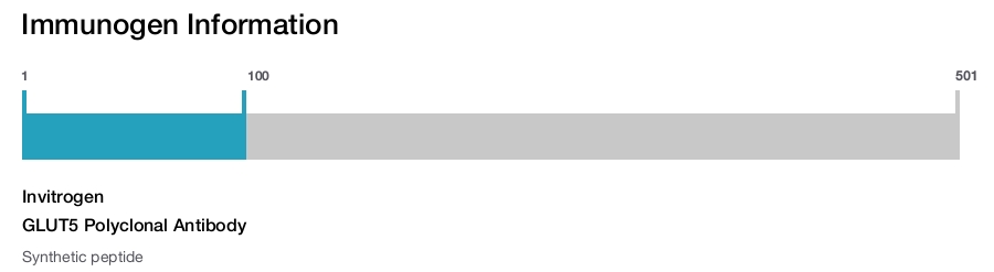 GLUT5 Polyclonal Antibody