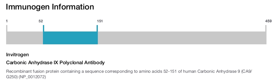 Carbonic Anhydrase IX Polyclonal Antibody