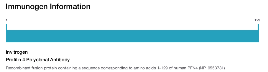 Profilin 4 Polyclonal Antibody