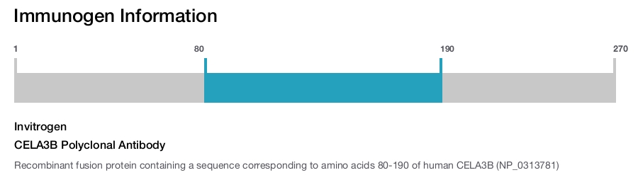 CELA3B Polyclonal Antibody