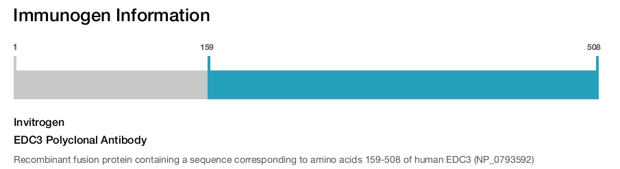 EDC3 Polyclonal Antibody