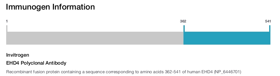 EHD4 Polyclonal Antibody