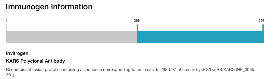 KARS Polyclonal Antibody