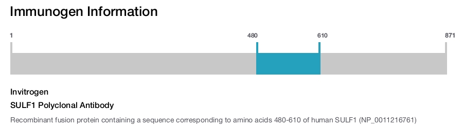 SULF1 Polyclonal Antibody