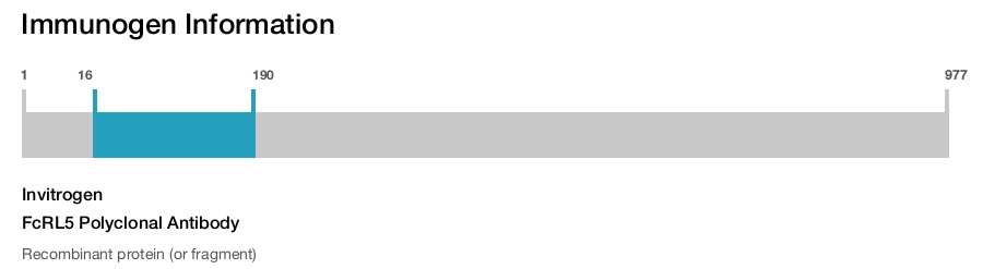 FcRL5 Polyclonal Antibody