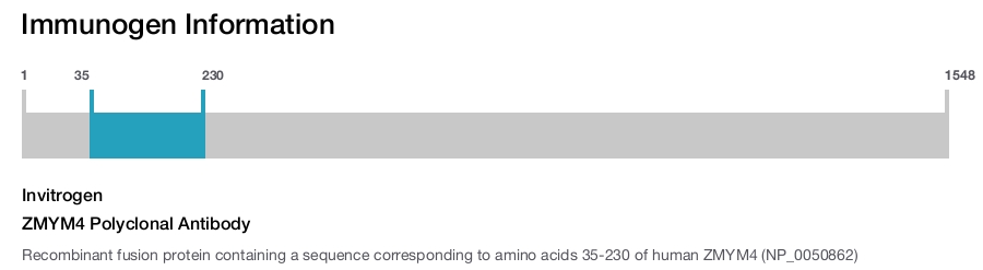 ZMYM4 Polyclonal Antibody