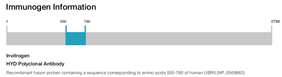 HYD Polyclonal Antibody