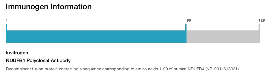 NDUFB4 Polyclonal Antibody