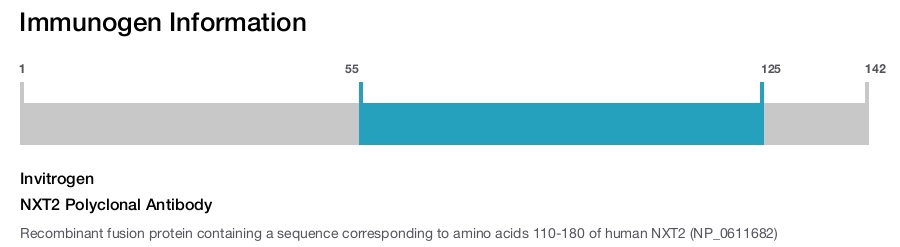 NXT2 Polyclonal Antibody