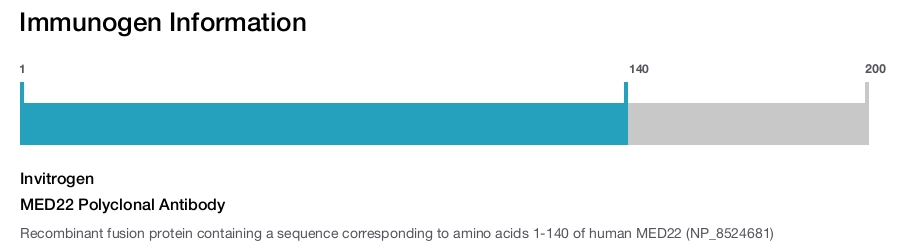 MED22 Polyclonal Antibody