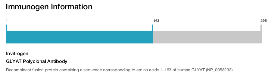 GLYAT Polyclonal Antibody