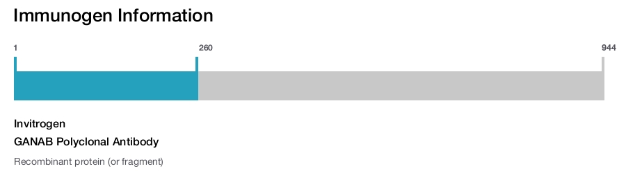 GANAB Polyclonal Antibody