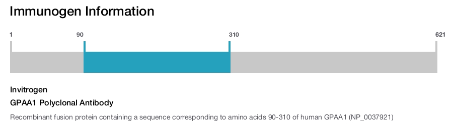 GPAA1 Polyclonal Antibody