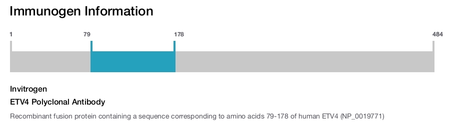 ETV4 Polyclonal Antibody