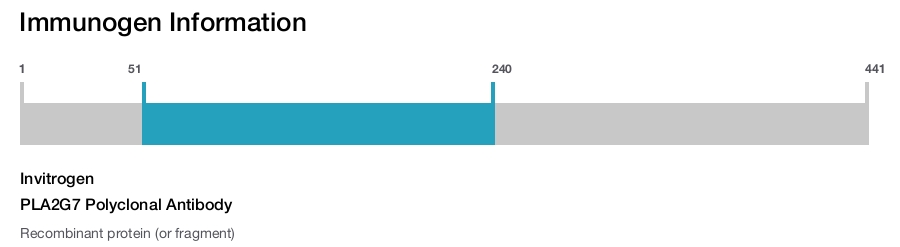 PLA2G7 Polyclonal Antibody