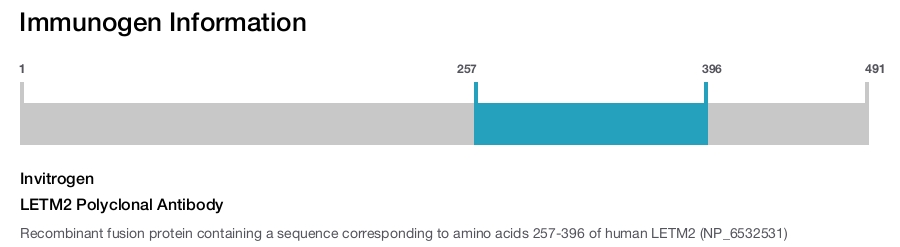 LETM2 Polyclonal Antibody
