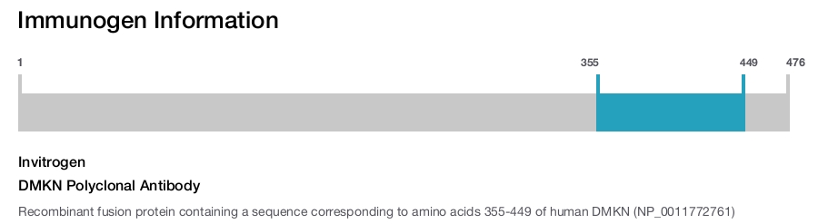 DMKN Polyclonal Antibody