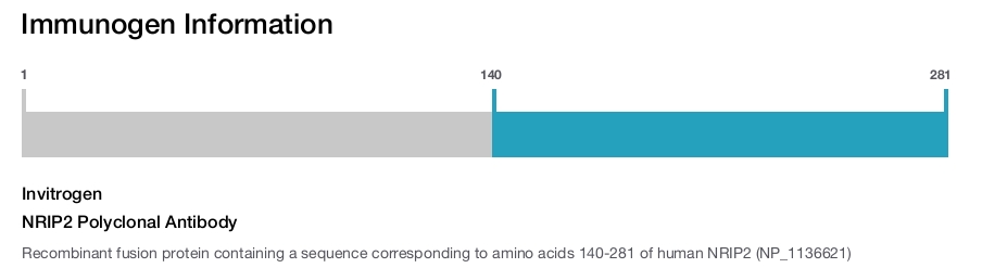 NRIP2 Polyclonal Antibody