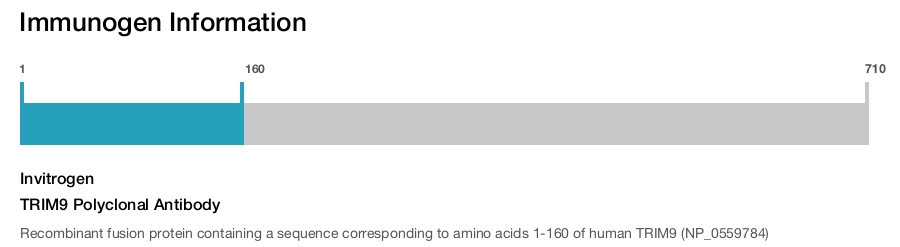 TRIM9 Polyclonal Antibody