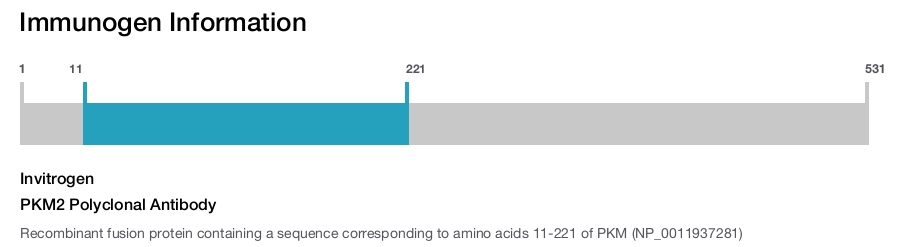 PKM2 Polyclonal Antibody