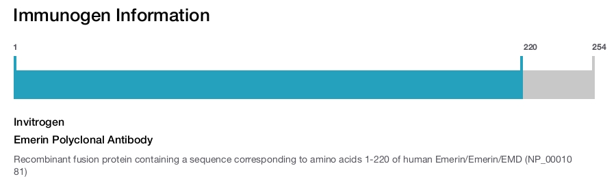 Emerin Polyclonal Antibody