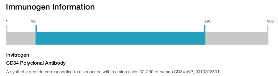 CD34 Polyclonal Antibody