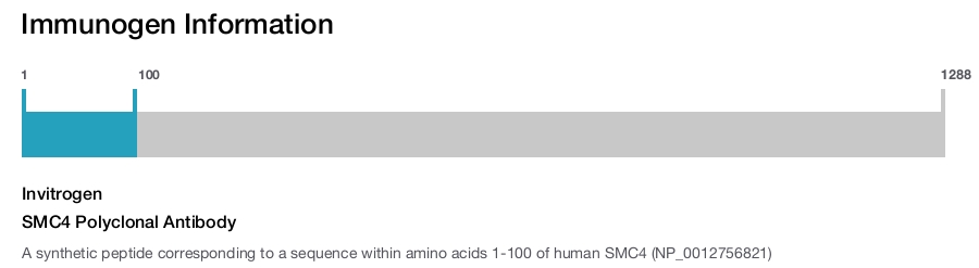 SMC4 Polyclonal Antibody