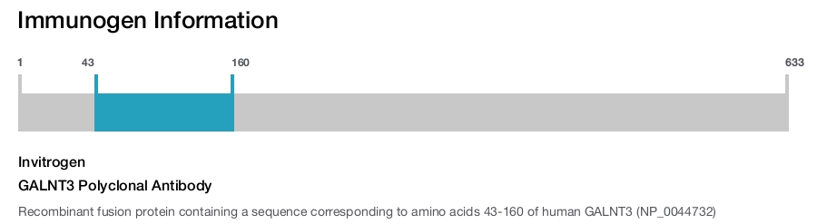 GALNT3 Polyclonal Antibody