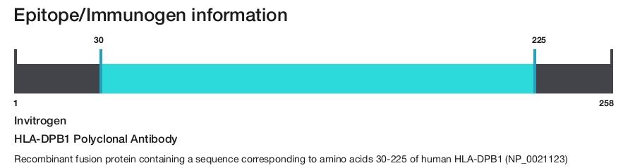 HLA-DPB1 Polyclonal Antibody