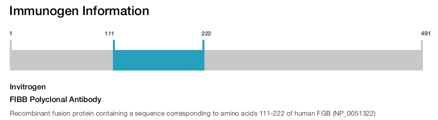 FIBB Polyclonal Antibody