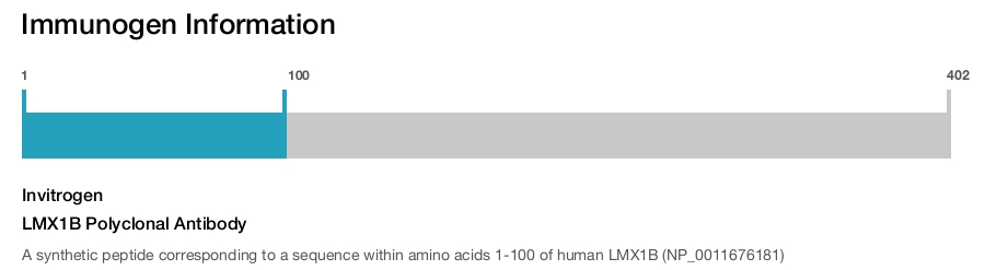 LMX1B Polyclonal Antibody