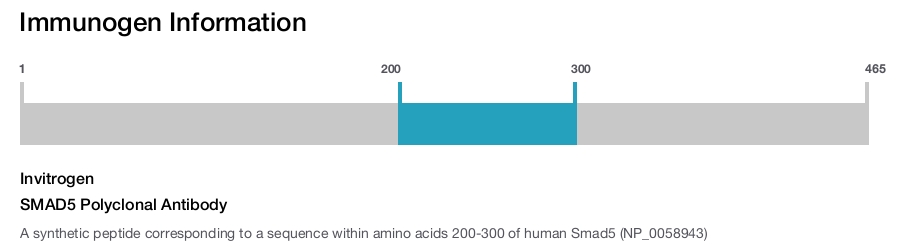 SMAD5 Polyclonal Antibody