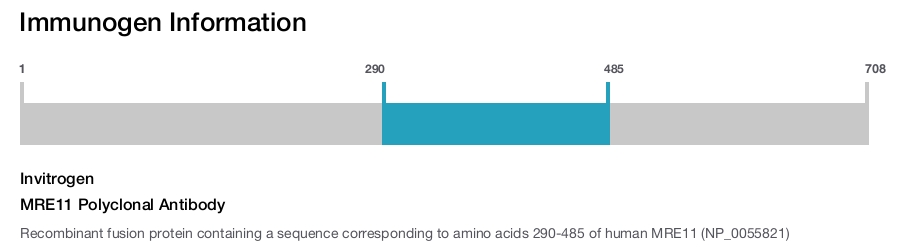 MRE11 Polyclonal Antibody