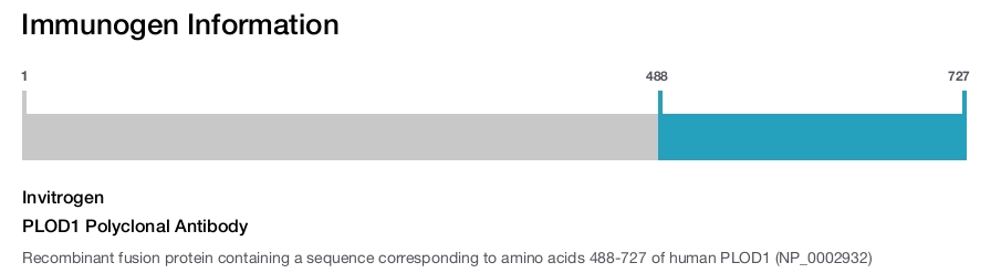 PLOD1 Polyclonal Antibody